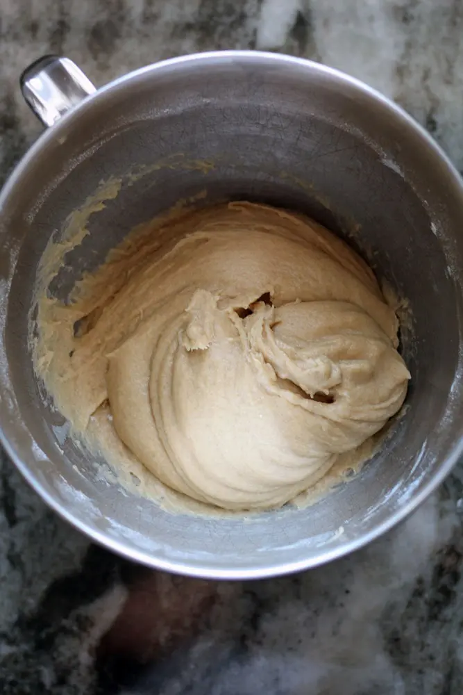 tan colored concha dough in stainless steel stand mixer bowl before rising