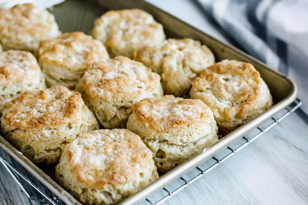 buttermilk biscuits on a sheet pan sitting on a cooling rack