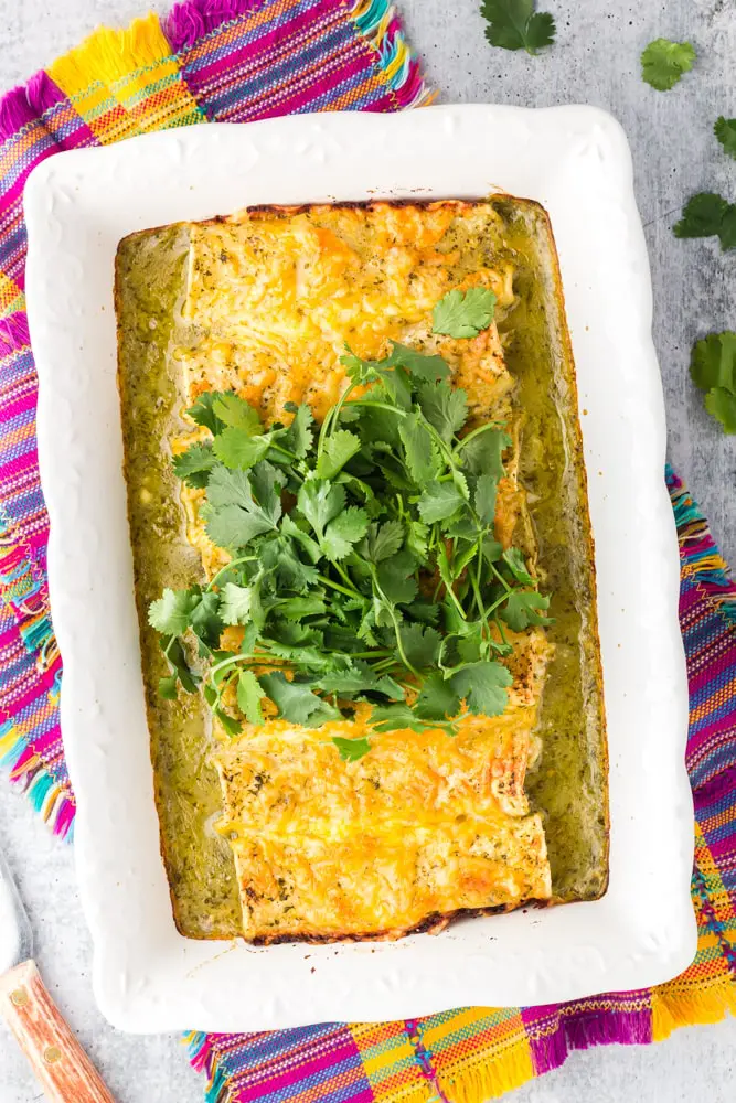 white baking dish filled with green chicken enchiladas topped with orange melted cheese and a mound of bright green cilantro