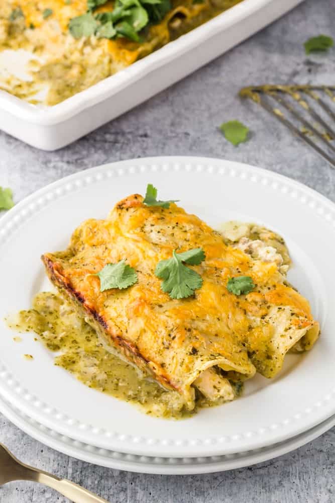 white plate filled with two green chicken enchiladas topped with orange melted cheese