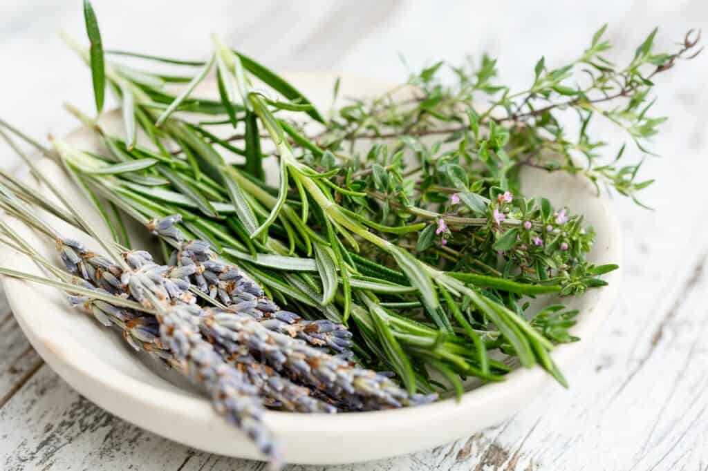 bright green herbs and light purple lavender in a small white dish.