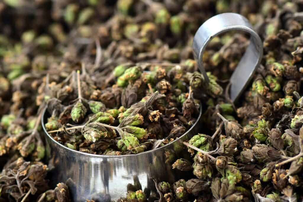 dried herbs being scooped with a silver cup.