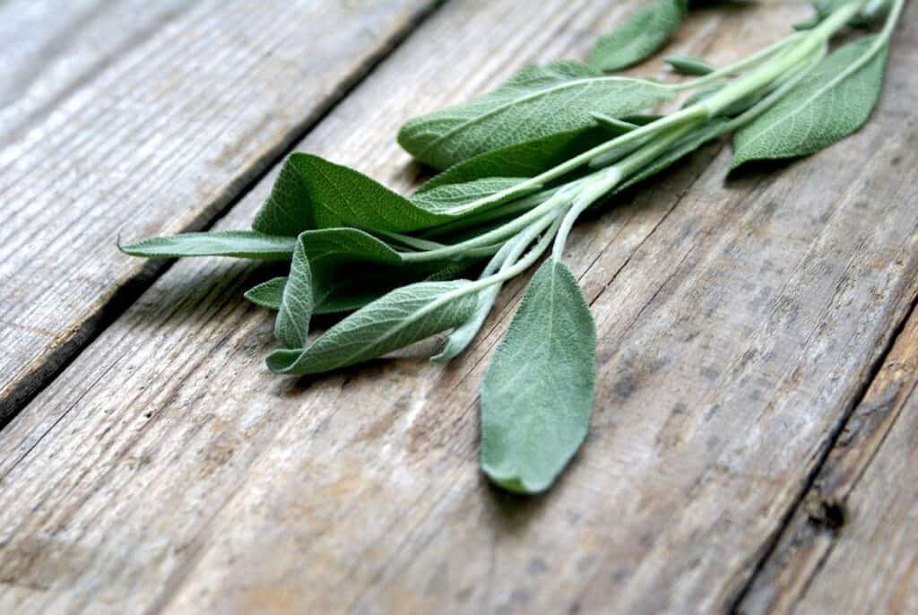 fresh sage leaves on a rustic wood board.