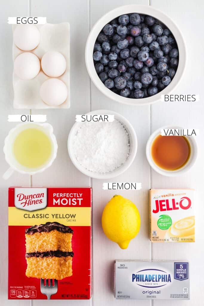 Ingredients for Blueberry Cake Donuts.